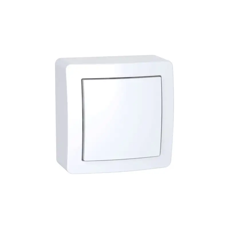 Alréa Interrupteur simple allumage avec cadre saillie blanc polaire