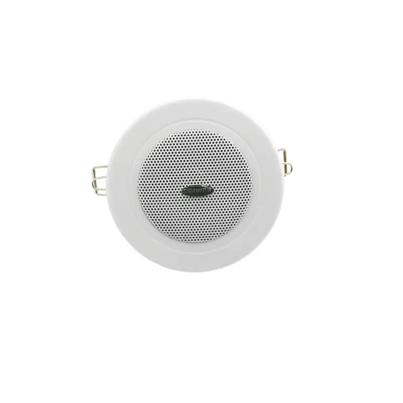 Haut-parleur plafond 3' 6 W