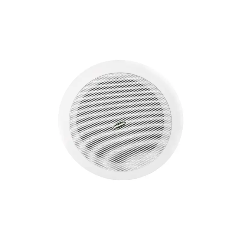 Haut-parleur plafond 5' 6 W